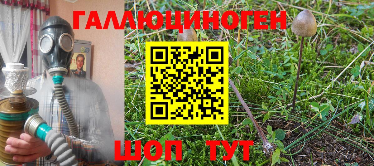 Галлюциногенные грибы мицелий Изобильный